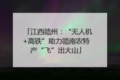 江西赣州：“无人机+高铁”助力赣南农特产“飞”出大山