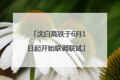 沈白高铁于6月1日起开始联调联试