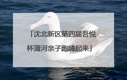 沈北新区第四届吾悦杯蒲河亲子跑嗨起来