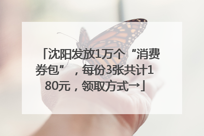 沈阳发放1万个“消费券包”，每份3张共计180元，领取方式→