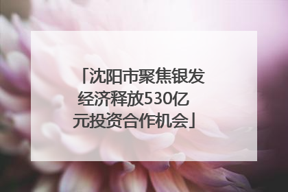 沈阳市聚焦银发经济释放530亿元投资合作机会