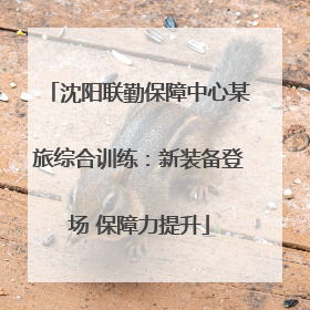沈阳联勤保障中心某旅综合训练：新装备登场 保障力提升