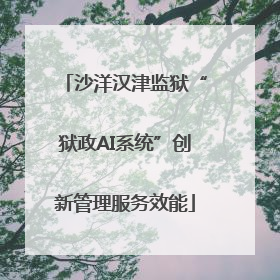 沙洋汉津监狱“狱政AI系统”创新管理服务效能