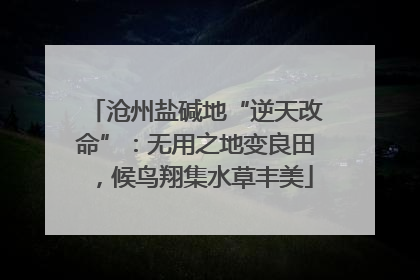 沧州盐碱地“逆天改命”：无用之地变良田，候鸟翔集水草丰美