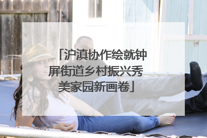 沪滇协作绘就钟屏街道乡村振兴秀美家园新画卷