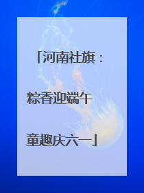 河南社旗：粽香迎端午 童趣庆六一