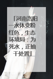 河南洛阳一水体变粉红色，生态环境局：为死水，正抽干处置