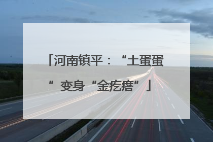 河南镇平：“土蛋蛋”变身“金疙瘩”