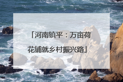 河南镇平：万亩荷花铺就乡村振兴路