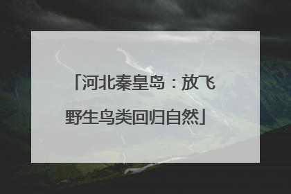 河北秦皇岛：放飞野生鸟类回归自然
