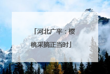 河北广平：樱桃采摘正当时