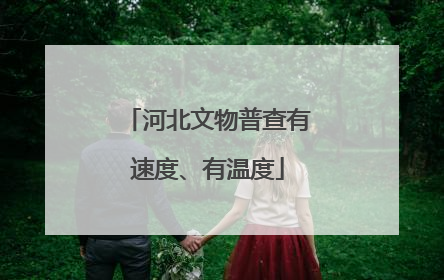 河北文物普查有速度、有温度