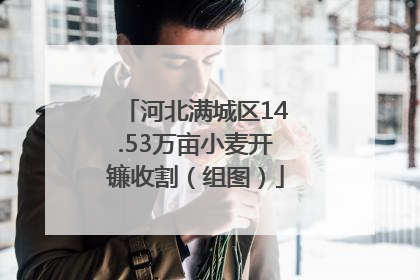 河北满城区14.53万亩小麦开镰收割（组图）