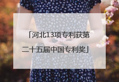 河北13项专利获第二十五届中国专利奖