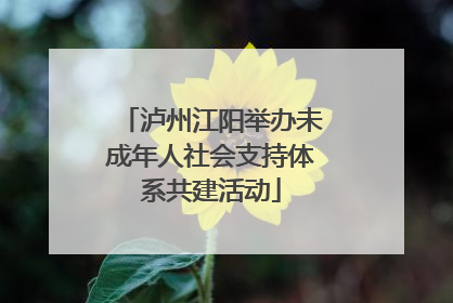 泸州江阳举办未成年人社会支持体系共建活动
