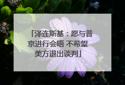 泽连斯基：愿与普京进行会晤 不希望美方退出谈判
