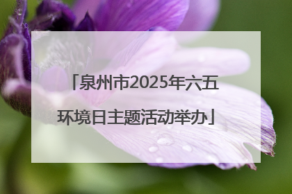 泉州市2025年六五环境日主题活动举办