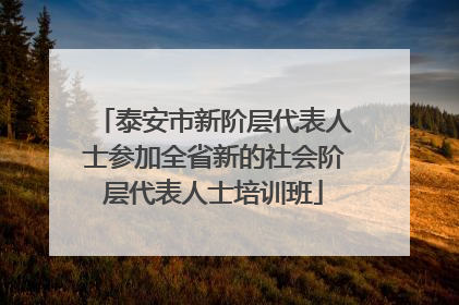 泰安市新阶层代表人士参加全省新的社会阶层代表人士培训班