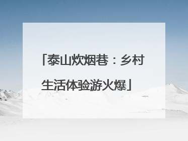 泰山炊烟巷：乡村生活体验游火爆