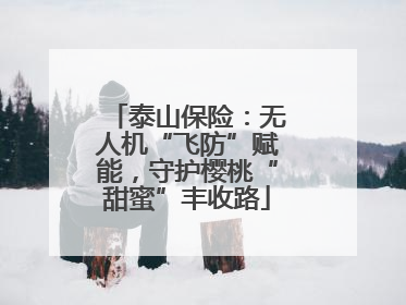 泰山保险：无人机“飞防”赋能，守护樱桃“甜蜜”丰收路
