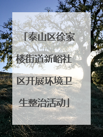 泰山区徐家楼街道新峪社区开展环境卫生整治活动