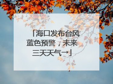 海口发布台风蓝色预警，未来三天天气→