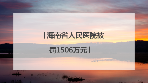海南省人民医院被罚1506万元