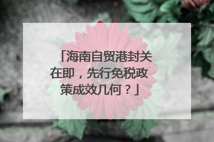 海南自贸港封关在即，先行免税政策成效几何？