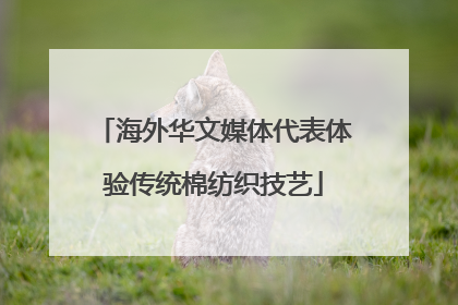 海外华文媒体代表体验传统棉纺织技艺