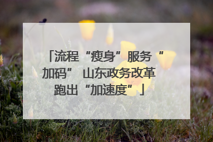 流程“瘦身”服务“加码” 山东政务改革跑出“加速度”