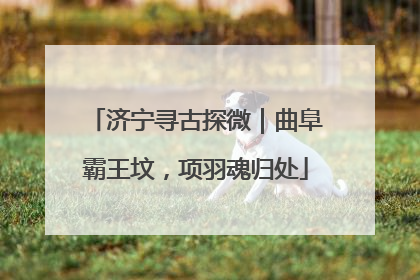 济宁寻古探微｜曲阜霸王坟，项羽魂归处