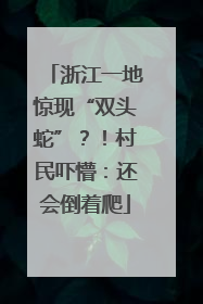浙江一地惊现“双头蛇”？！村民吓懵：还会倒着爬