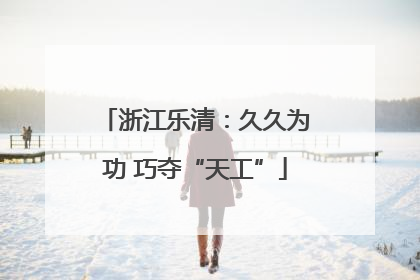 浙江乐清：久久为功 巧夺“天工”