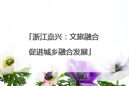 浙江嘉兴：文旅融合促进城乡融合发展