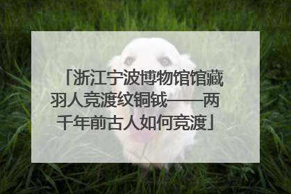 浙江宁波博物馆馆藏羽人竞渡纹铜钺——两千年前古人如何竞渡