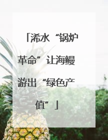 浠水“锅炉革命”让海鳗游出“绿色产值”