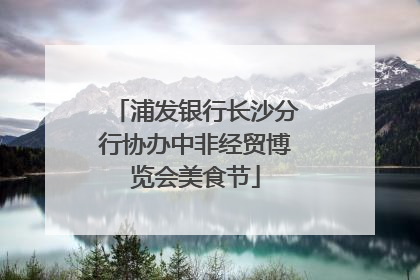浦发银行长沙分行协办中非经贸博览会美食节