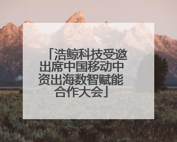 浩鲸科技受邀出席中国移动中资出海数智赋能合作大会