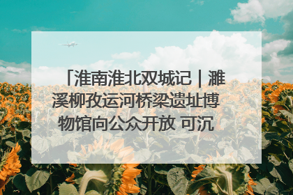 淮南淮北双城记｜濉溪柳孜运河桥梁遗址博物馆向公众开放 可沉浸式触摸历史
