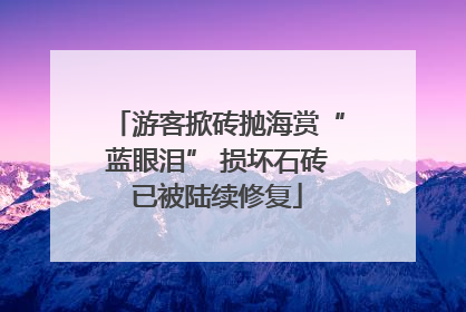游客掀砖抛海赏“蓝眼泪” 损坏石砖已被陆续修复