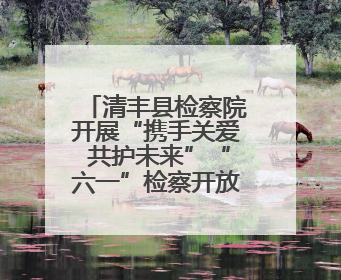 清丰县检察院开展“携手关爱 共护未来”“六一”检察开放日活动