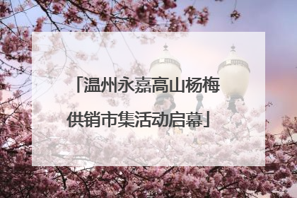 温州永嘉高山杨梅供销市集活动启幕