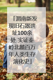 渭南新发现旧石器遗址100余处 实证秦岭北麓百万年人类生存演化史