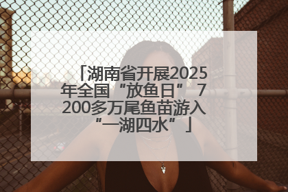 湖南省开展2025年全国“放鱼日” 7200多万尾鱼苗游入“一湖四水”