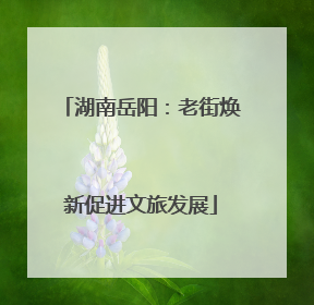 湖南岳阳：老街焕新促进文旅发展