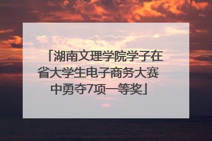 湖南文理学院学子在省大学生电子商务大赛中勇夺7项一等奖