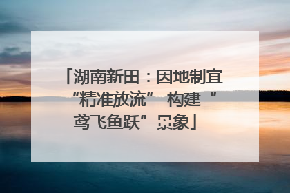 湖南新田：因地制宜“精准放流” 构建“鸢飞鱼跃”景象