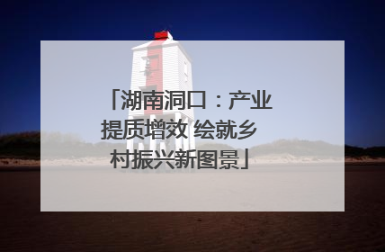 湖南洞口：产业提质增效 绘就乡村振兴新图景
