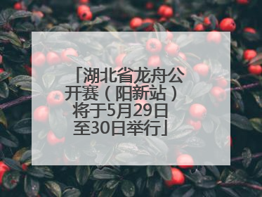湖北省龙舟公开赛（阳新站）将于5月29日至30日举行
