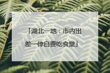 湖北一地：市内出差一律自费吃食堂